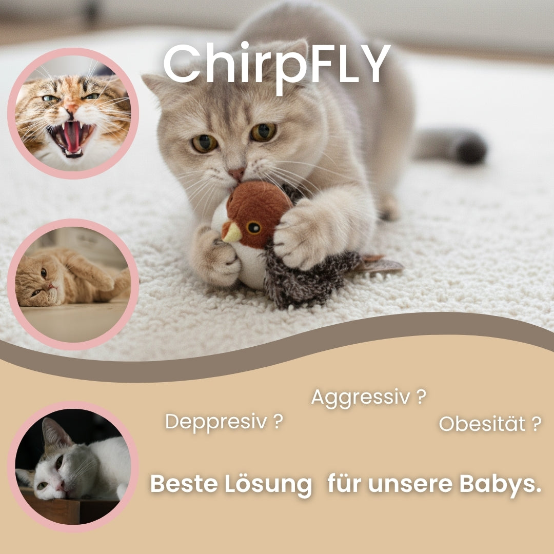 ChirpFLY   wiederaufladbares Katzenspielzeug - Der Jäger in deiner Katze wartet...